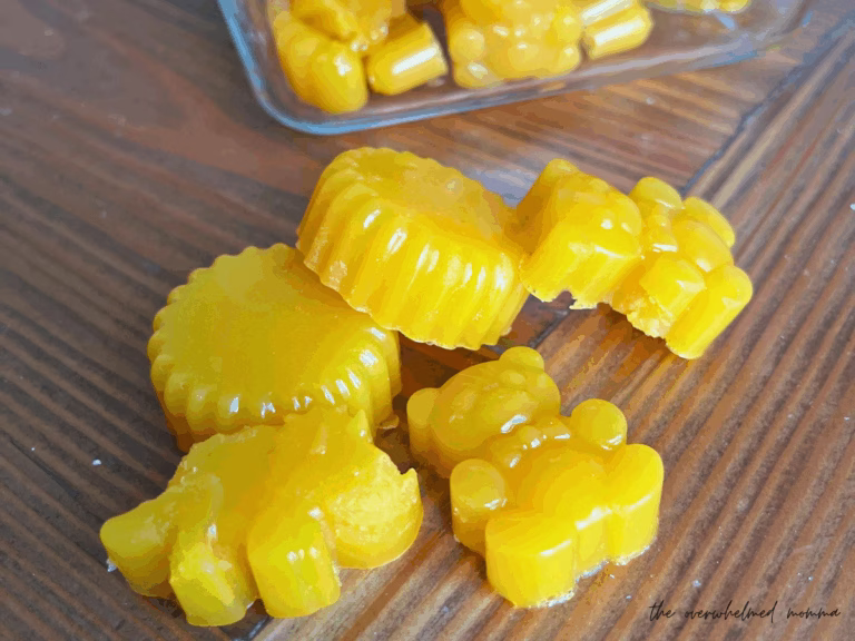 how to make homemade fruit snacks